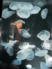 PICTURES/Tennessee Aquarium in Chattanooga/t_Many Jellyfish1.jpg